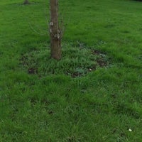 Northfield Park Park In Blaby