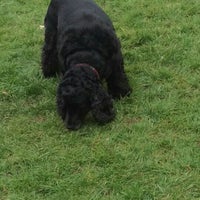 Northfield Park Park In Blaby