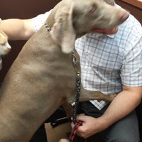 vca parkwood animal hospital