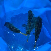 花暮岸壁 三崎3 11 7