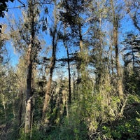 Photo taken at Mount Sutro Open Space Reserve by Michael D. on 2/25/2022