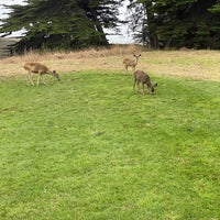 Photo taken at Sea Ranch Golf Links by Michael D. on 9/13/2020