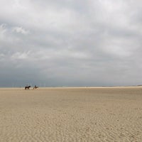 Photo taken at Strand Vrouwenpolder by Sasha G. on 11/21/2020