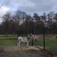 Photo taken at Kinderboerderij De Uylenburg by Sasha G. on 1/15/2023