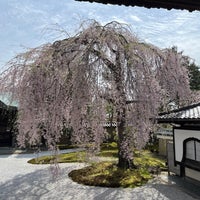 Photo taken at Kodai-ji by Koji S. on 4/6/2024