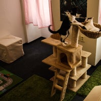 Photo taken at Cat Cafe by Cat Cafe on 10/15/2014