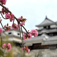 Photo taken at Matsuyama Castle by riku179 on 4/15/2024