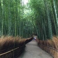 Photo taken at Arashiyama Bamboo Grove by راحاب on 8/17/2015