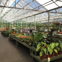 Pike Nurseries Matthews Nc Pike Nurseries Matthews Nc