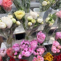 Photo taken at Mongkok Flower Market by VK on 5/12/2023