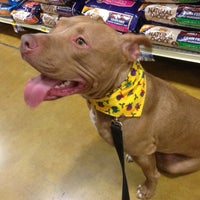 petsmart natomas