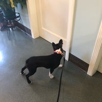 Photo taken at SF Pet Hospital by Travis T. on 8/3/2018