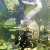 Photo taken at New England Aquarium by New England Aquarium on 3/27/2014