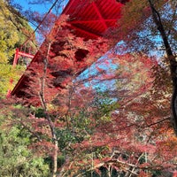 Photo taken at 泉自然公園 by Takashi S. on 11/23/2021