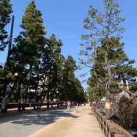 草加松原遊歩道 松並木 Trilha 草加松原遊歩道 松並木 Trilha