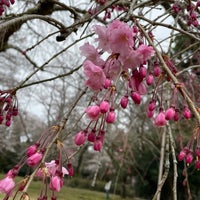 Photo taken at 泉自然公園 by Takashi S. on 3/21/2023