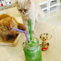 Photo taken at Kitty Cat Café by Aphirat ♡ S. on 6/16/2015