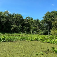 10/7/2023에 Đorđe P.님이 Gamboa Rainforest Resort에서 찍은 사진
