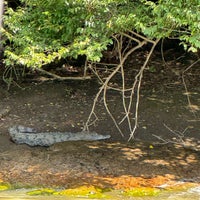 รูปภาพถ่ายที่ Gamboa Rainforest Resort โดย Đorđe P. เมื่อ 10/7/2023