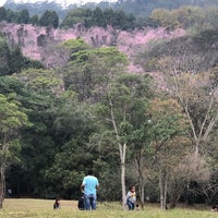 Photo taken at Bosque das Cerejeiras by RODOLFO M. on 8/6/2018
