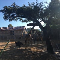 Photo taken at Giraffe African Exhibit by Haj on 10/15/2016