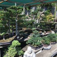 Yamaguchi Bonsai Nursery Garden Center In Los Angeles Photo Taken At Yamaguchi Bonsai Nursery By Melissa S On 8 28 2016