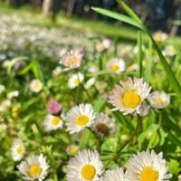 Photo taken at Florya Atatürk Ormanı by Cem on 3/29/2024