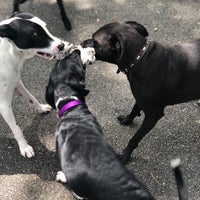 Photo taken at Dewitt Clinton Park Dog Run by Ha Ha on 7/29/2018