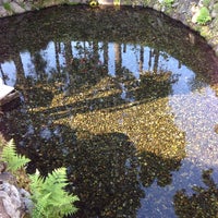 六郷湧水群 54 Visitors 六郷湧水群 54 Visitors