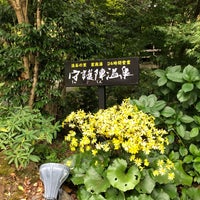 守護陣温泉 阿蘇市 熊本県