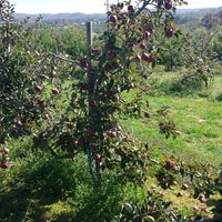 Photo taken at Stepp Apple Orchard by Betsy B. on 10/26/2014