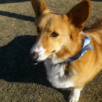 ハローアニマル 長野県動物愛護センター 大字菱平2725 ハローアニマル 長野県動物愛護センター 大字菱平2725