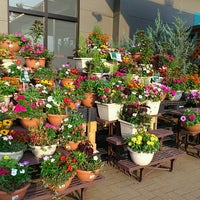 カインズホーム 佐久平店 Home Service In 佐久市