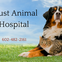 Photo taken at Faust Animal Hospital by Faust Animal Hospital on 4/1/2015