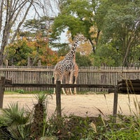 Photo taken at Bioparco by Alessandro G. on 11/24/2023