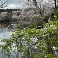 Photo taken at Ryoan-ji by Andrey S. on 4/4/2024