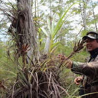 4/1/2014 tarihinde Everglades Nature Toursziyaretçi tarafından Everglades Nature Tours'de çekilen fotoğraf
