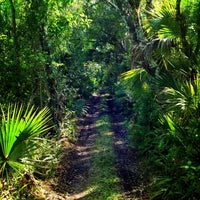 4/1/2014 tarihinde Everglades Nature Toursziyaretçi tarafından Everglades Nature Tours'de çekilen fotoğraf