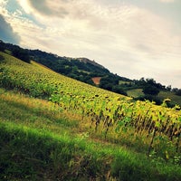 Chiusdino - Siena, Toscana