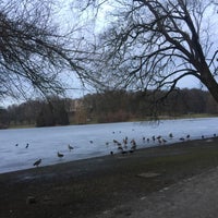 Photo taken at Le petit lac de Woluwe by Theo V. on 1/27/2017