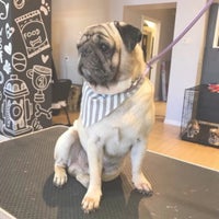 Photo taken at Just 4 Dogs Pet Salon by Dania U. on 11/11/2017