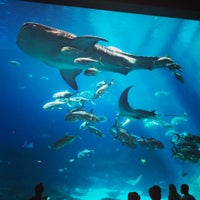 Photo taken at Georgia  Aquarium ballroom by Steve W. on 4/16/2017