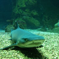 Haus Des Meeres Aqua Terra Zoo Aquarium In Vienna