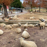 Photo taken at Rokkosan Pasture by Charlie M. on 11/24/2022