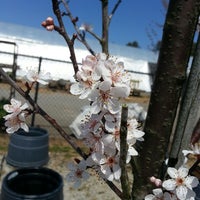 Photo prise au Fairview Garden Center par Anna L. le3/31/2013