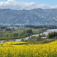 飯山市菜の花公園 飯山市 3 Tips From 302 Visitors 飯山市菜の花公園 飯山市 3 Tips From 302 Visitors