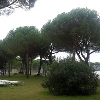 Hotel Club Spiaggia Romea Resort In 44020