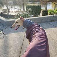 Photo taken at Fremont Canal Steps by Ali on 11/15/2020