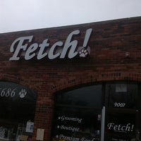 fetch dog boutique