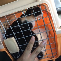 Melawati Urban Veterinary Veterinarian